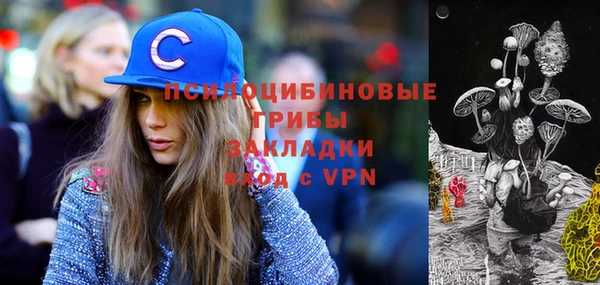 ешки Алексин