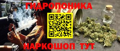 индика Бузулук