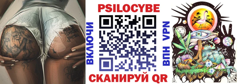 Псилоцибиновые грибы Psilocybe  цены наркотик  Керчь 